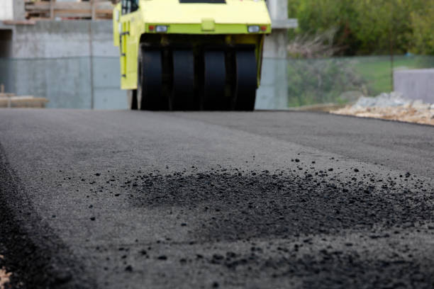 Best Driveway Pavers Near Me  in Ojus, FL